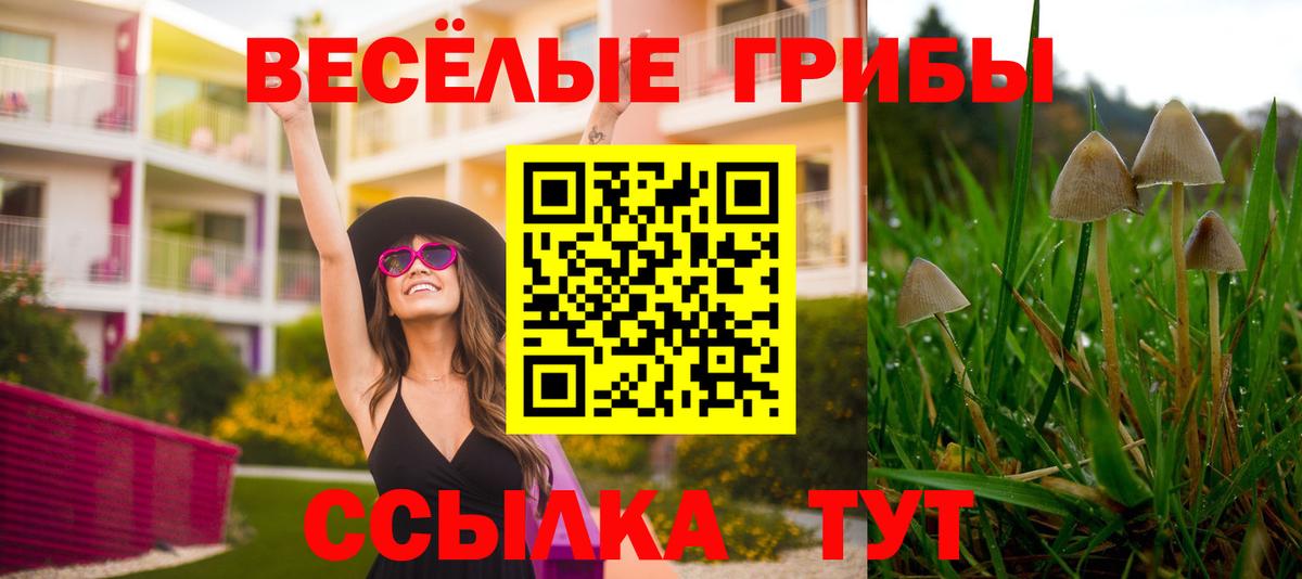 Туапсе  дарнет шоп  Вход с VPN  Галлюциногенные грибы Magic Shrooms 